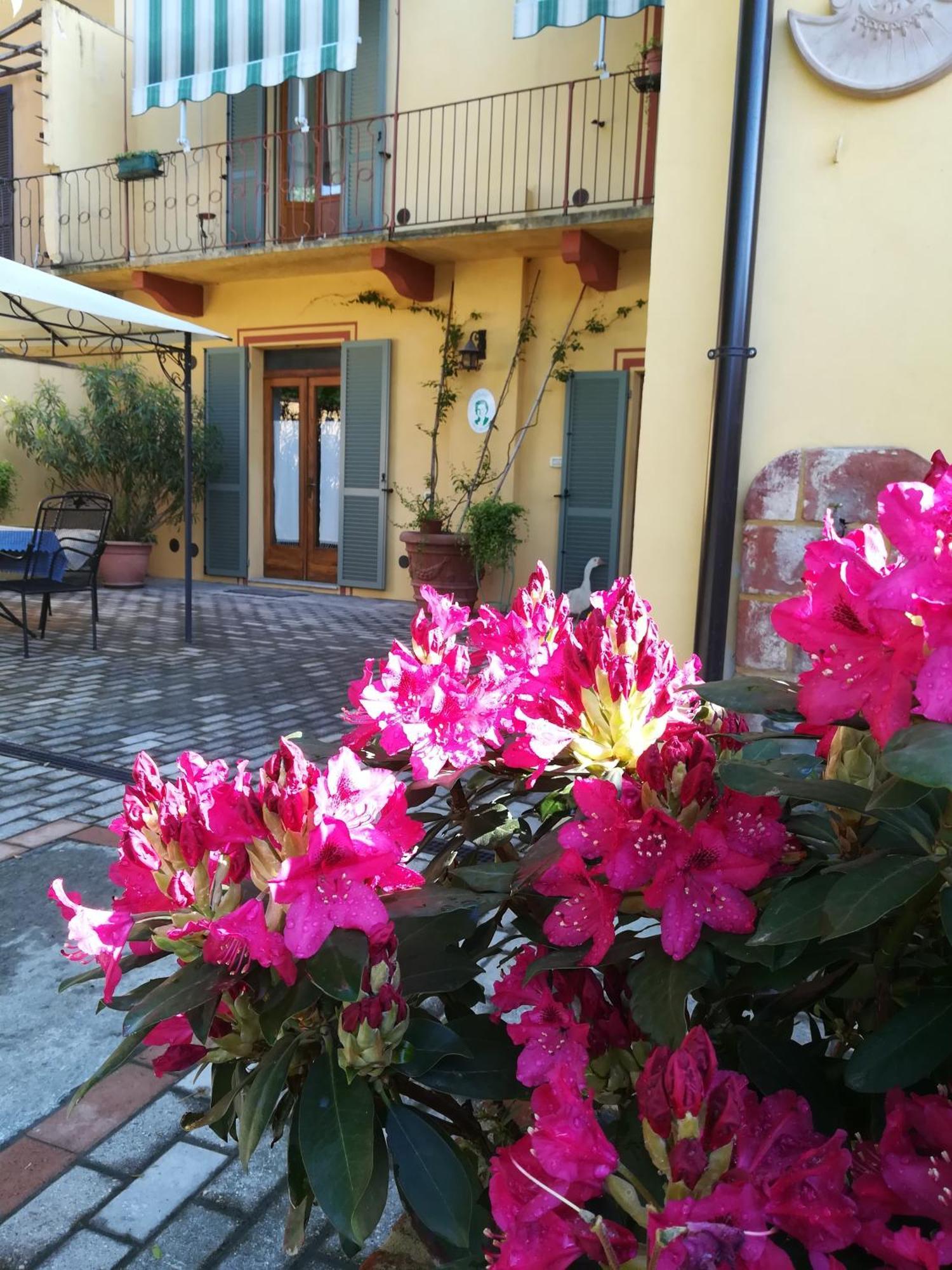 L'Adele Bed & Breakfast Occimiano Zewnętrze zdjęcie