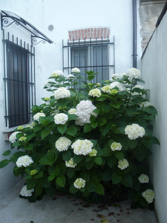 L'Adele Bed & Breakfast Occimiano Zewnętrze zdjęcie
