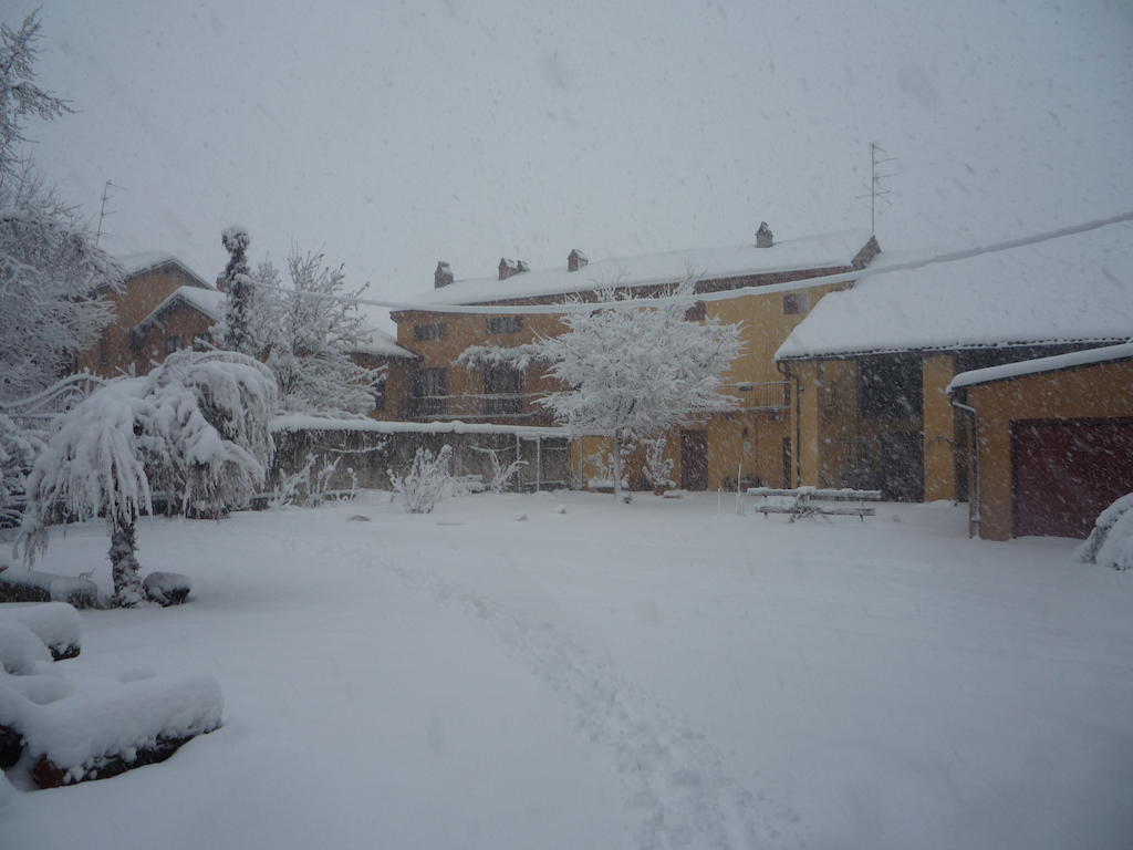L'Adele Bed & Breakfast Occimiano Zewnętrze zdjęcie