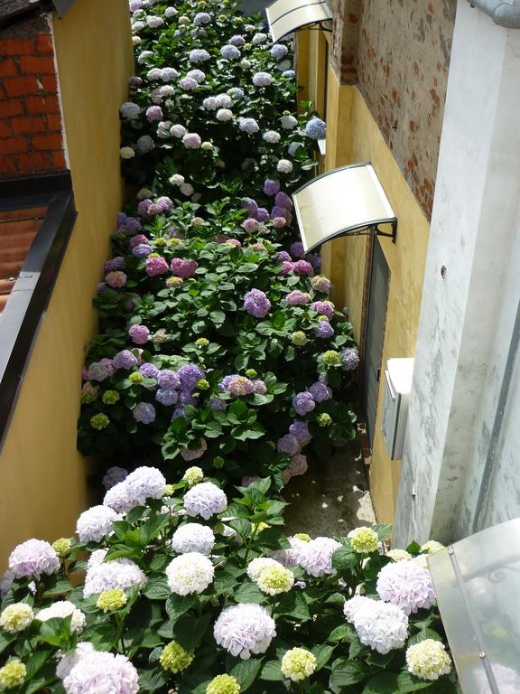 L'Adele Bed & Breakfast Occimiano Zewnętrze zdjęcie